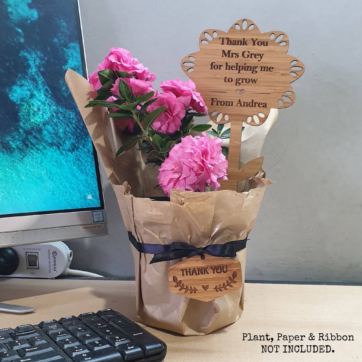 Teacher Personalised Planter Stick with Gift Tag