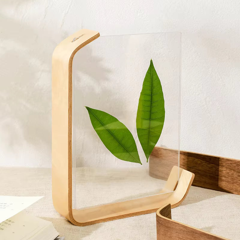 Acrylic Wooden Photo Frame Herbarium Display Frame