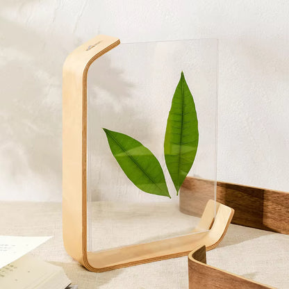 Acrylic Wooden Photo Frame Herbarium Display Frame